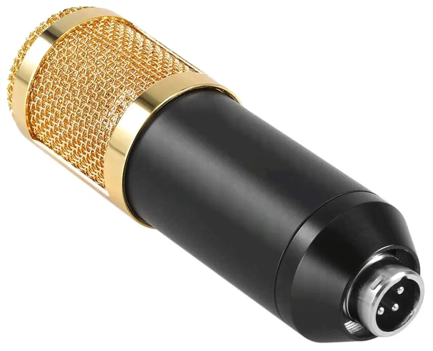 Микрофон JBH BM-800, черный/золотистый-0