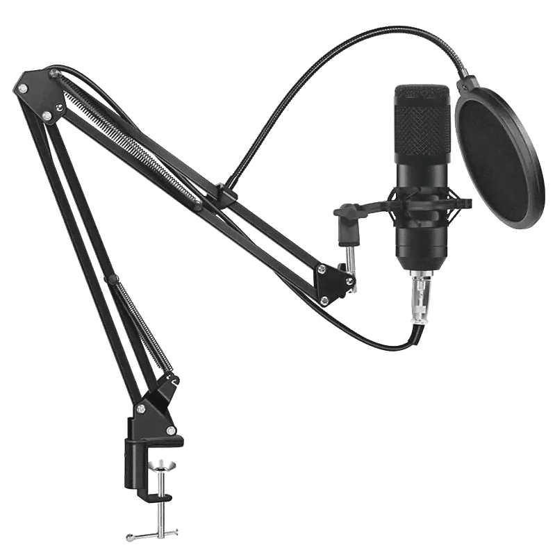 Микрофон YNMCE BM-800 Чёрный